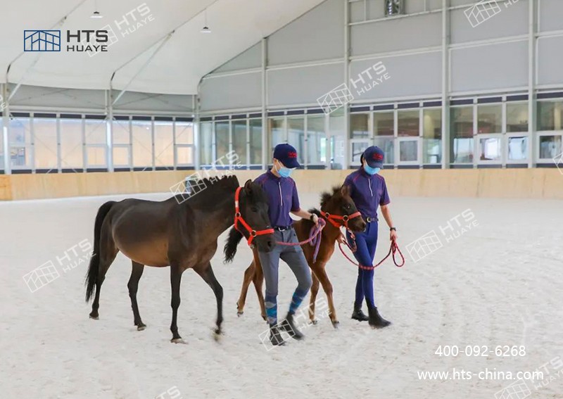 马术馆篷房高效两全，打造校园马术新地标